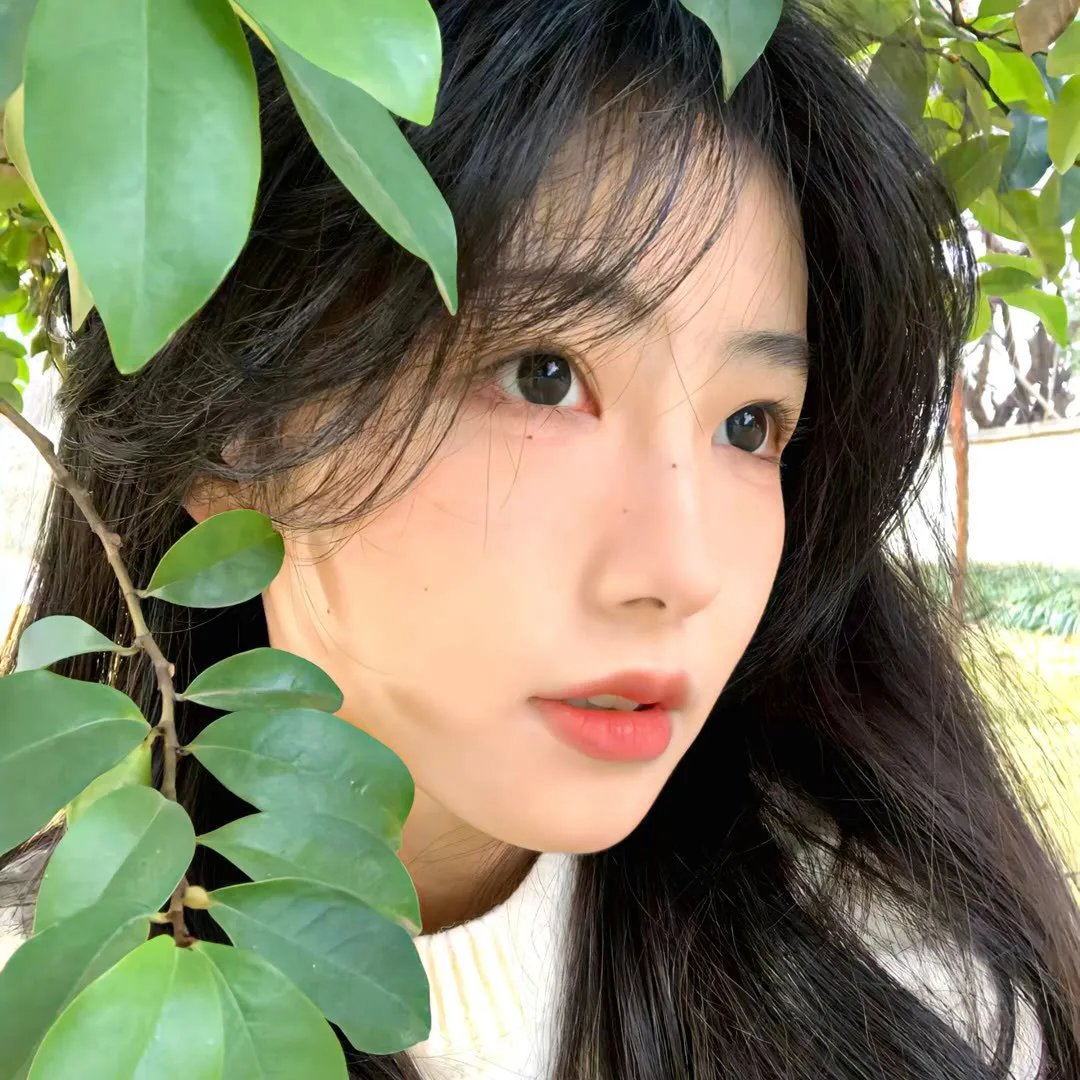 漫游